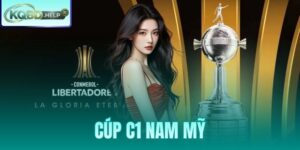 Cúp C1 Nam Mỹ