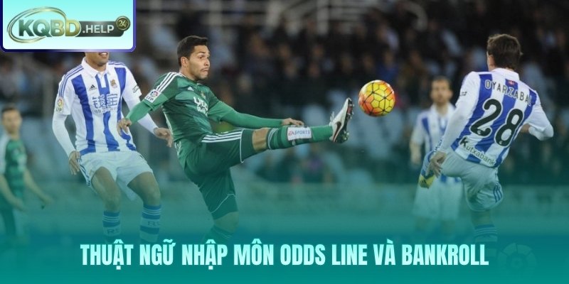 Odds Line và Bankroll ba thuật ngữ nền tảng trên mọi bảng tỷ lệ