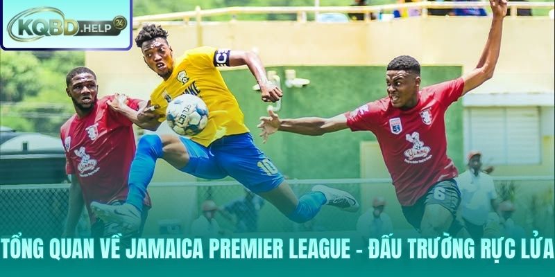 Sức nóng từ Jamaica Premier League